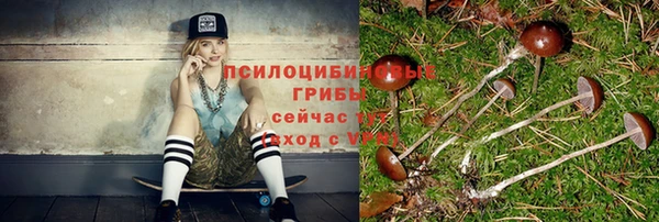 apvp Абаза