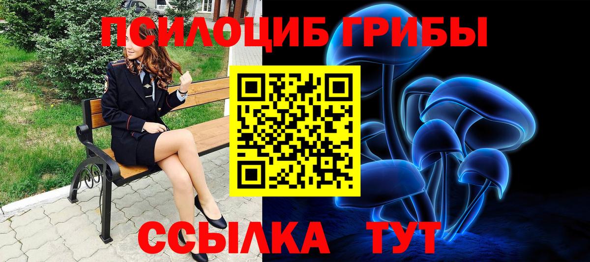 Галлюциногенные грибы мицелий  Вход с VPN  Ялта  Галлюциногенные грибы Cubensis 