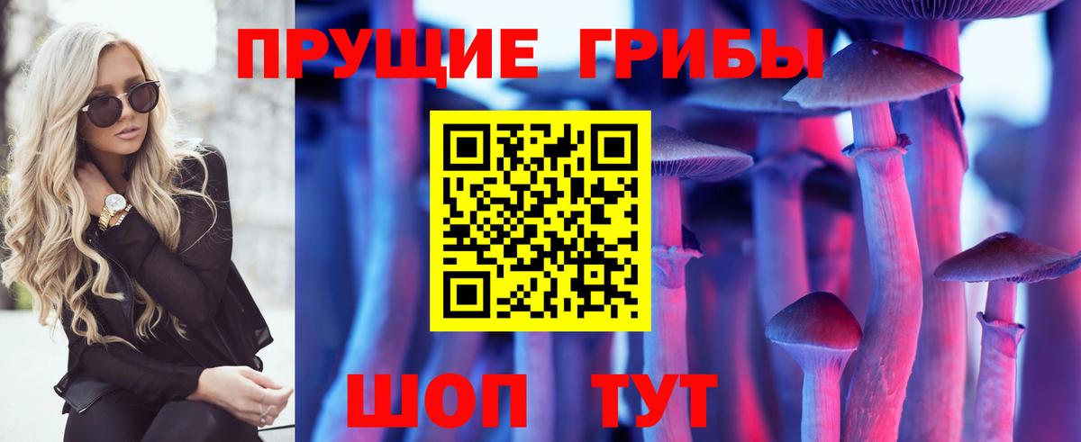 Галлюциногенные грибы Psilocybe Ялта